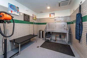 Pet washing station of union 346